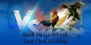 Hướng Dẫn Cách Chơi Đá Gà WS168 Tại 98Win Cho Người Mới